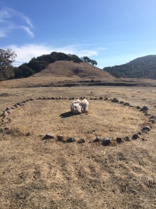 Connecting and listening to the Earth