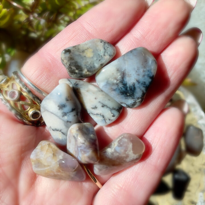 Small Tumbled Dendritic Agate