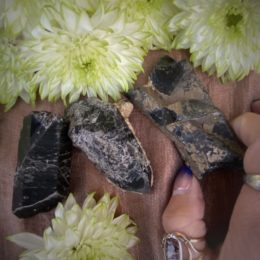 Natural Morion Smoky Quartz Points