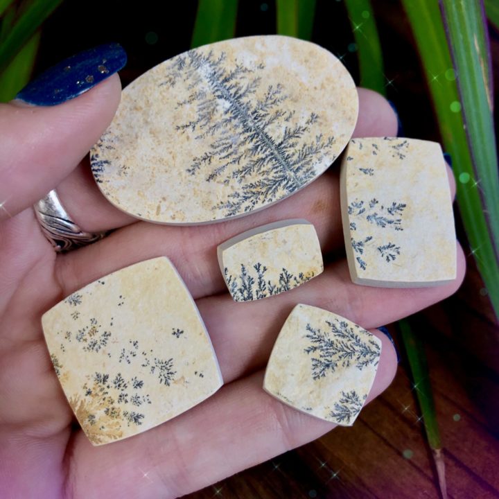 Earth Magic Dendrite Cabochons