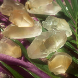 Golden Lemurian Quartz Point