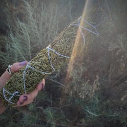 Juniper Smudge Bundle