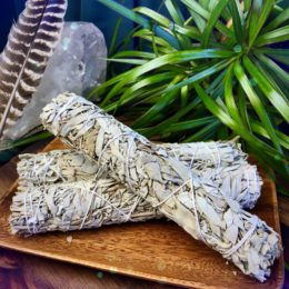 White Sage Smudge Bundles