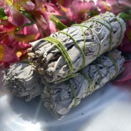 White Sage Mini Smudge Bundles