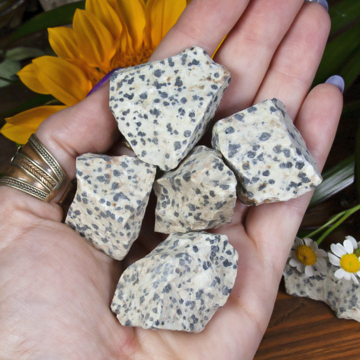 Natural Dalmatian Jasper