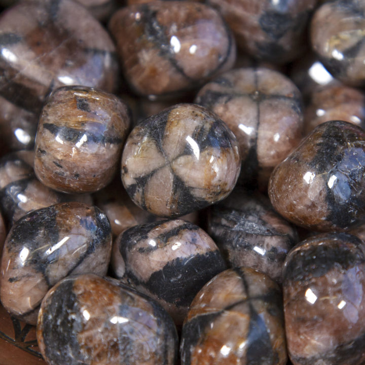 Tumbled Chiastolite