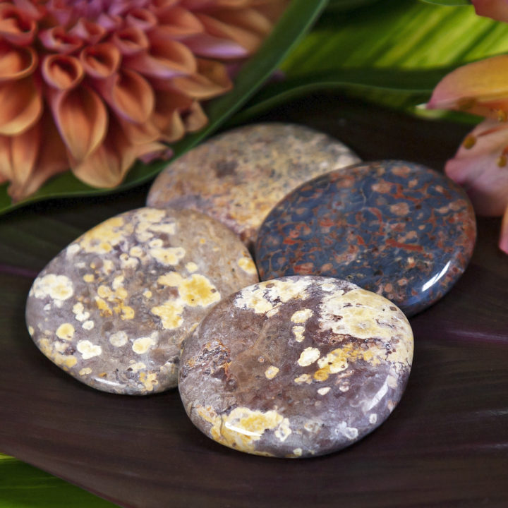 Leopardskin Jasper Channeling Palm Stones