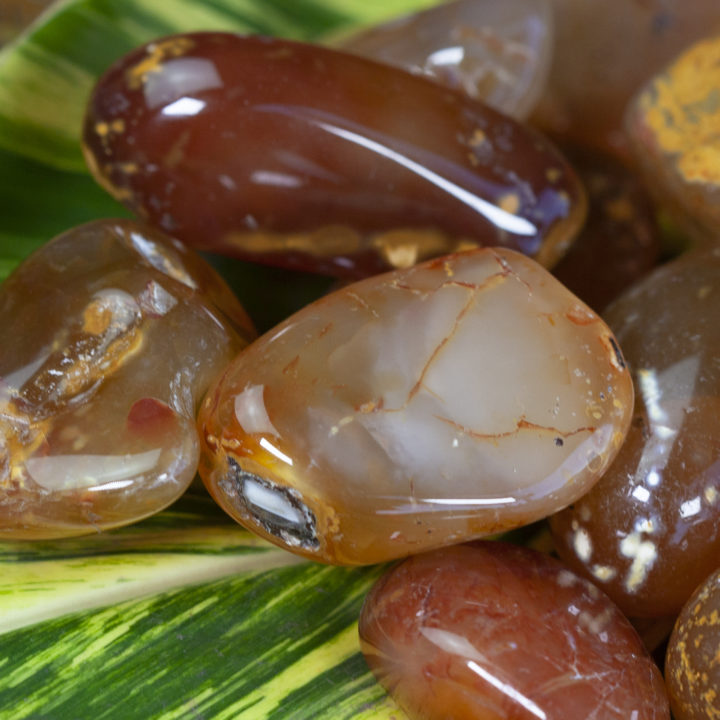 Large Tumbled Carnelian