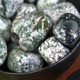 Tumbled Tree Agate