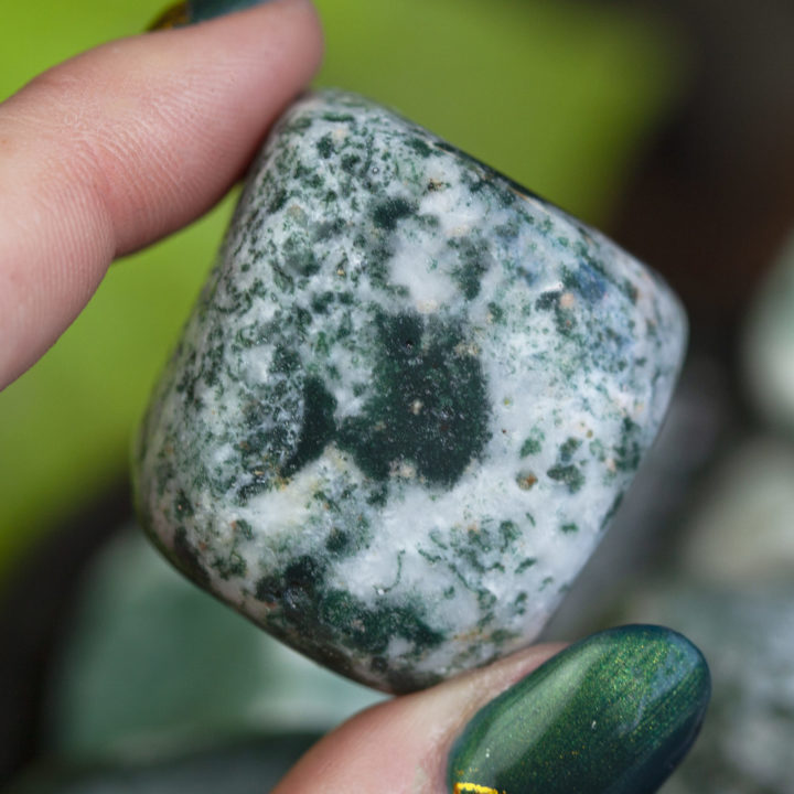 Tumbled Tree Agate