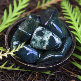 Tumbled Evergreen Jasper