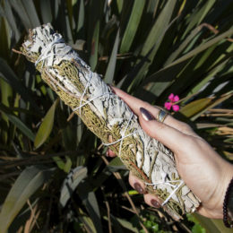 Large Juniper and White Sage Smudge Bundles