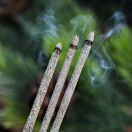 Copal Incense Sticks