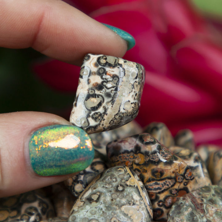 Tumbled Leopardskin Jasper