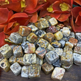 Tumbled Crazy Lace Agate Cube