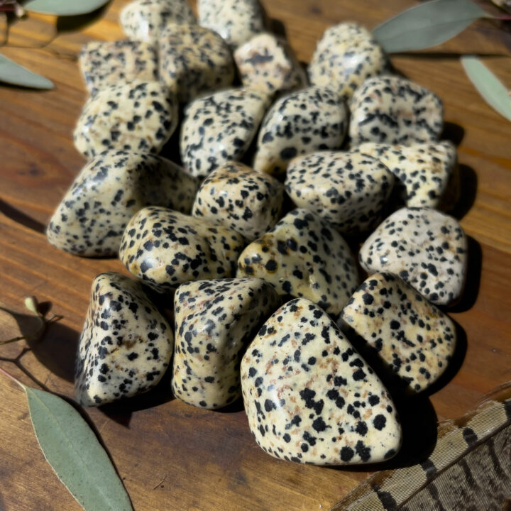 Tumbled Dalmatian Jasper