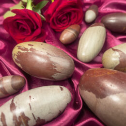 Shiva Lingam