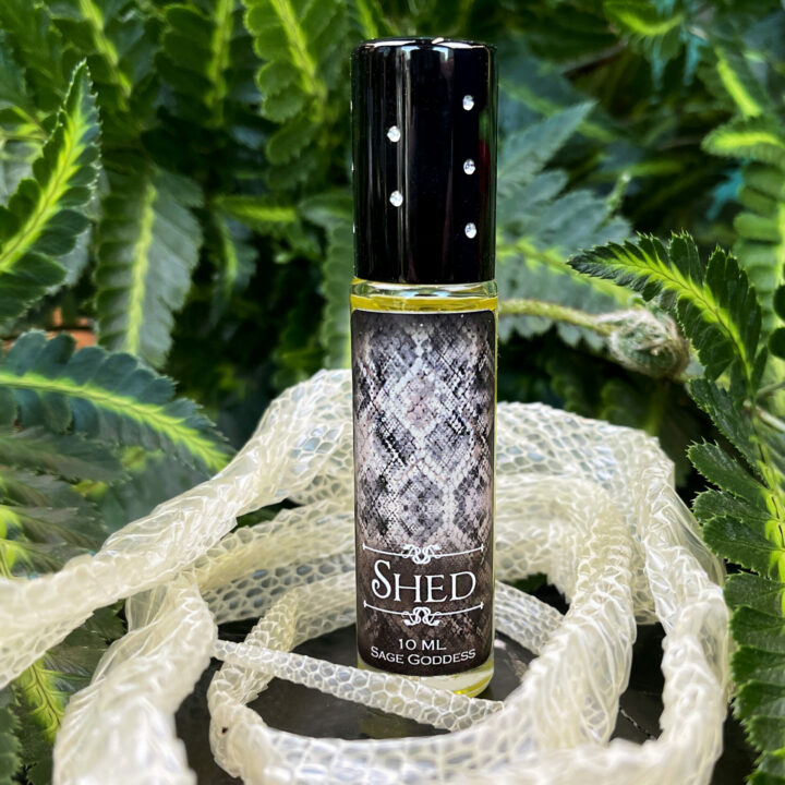 Shed Perfume