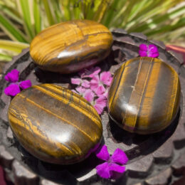 Courage and Wisdom Tigers Eye Palm Stone