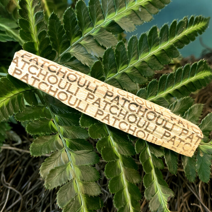 Patchouli Infused Palo Santo