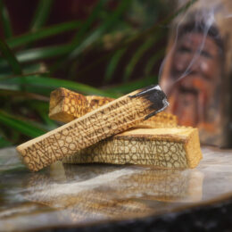 Grandfather Trees Wisdom Infused Palo Santo