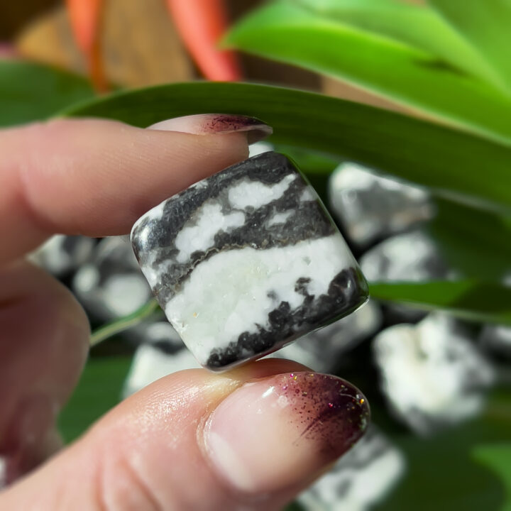 Tumbled Zebra Jasper Manifestation and Authenticity Cube