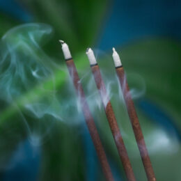 Blue Lotus Incense Sticks