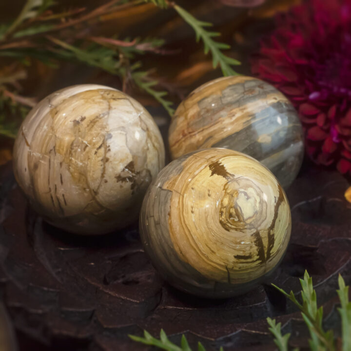 Freedom and Possibility Palomino Picture Jasper Sphere