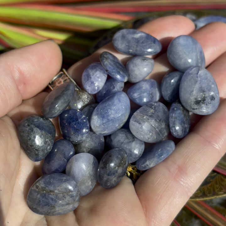 Tumbled Blue Tanzanite