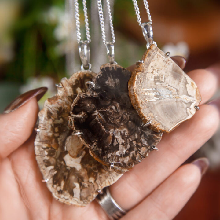 Petrified Wood Ancestor Protection Pendant