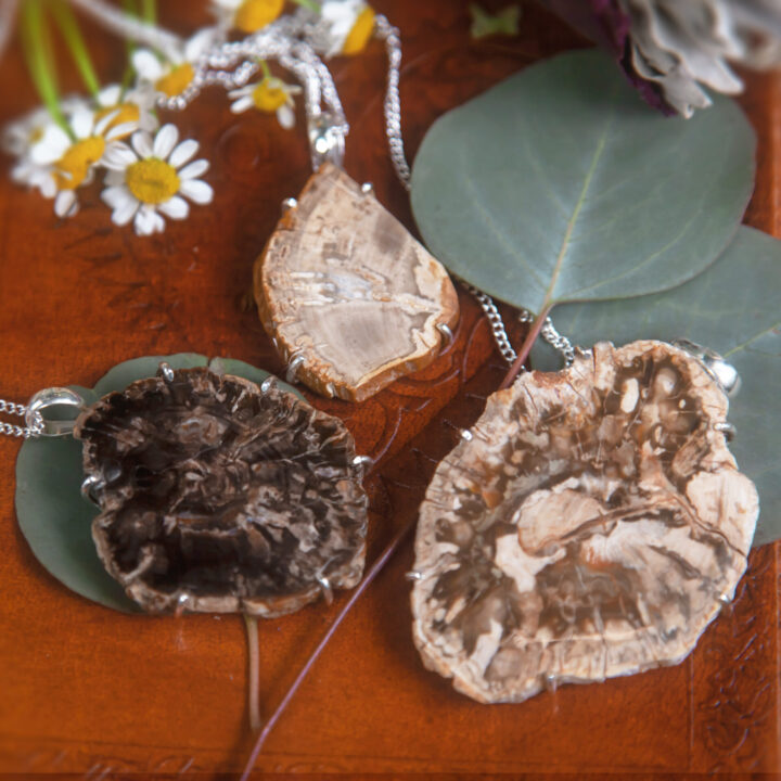 Petrified Wood Ancestor Protection Pendant