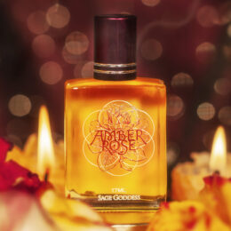 Amber Rose Perfume