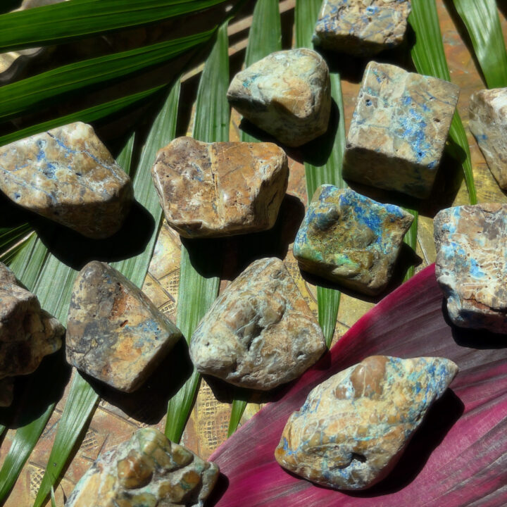 Tumbled Azurite and Chrysocolla in Petrified Wood