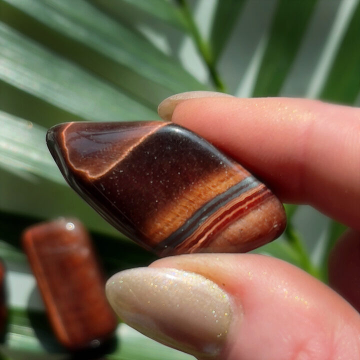 Tumbled Red Tigers Eye