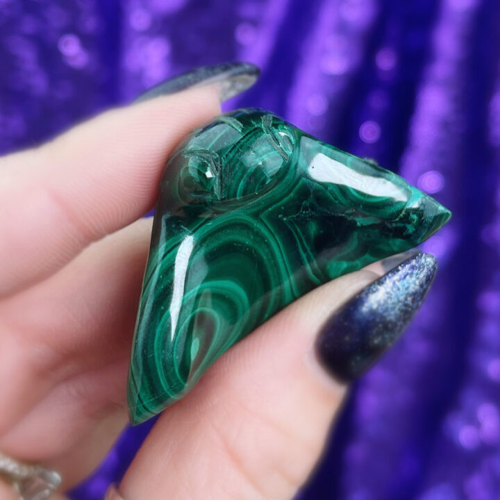 Malachite Cobra