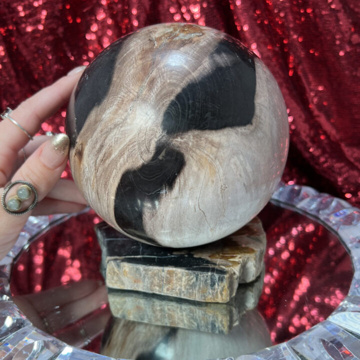 Petrified Wood Sphere with Stand