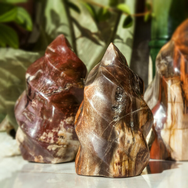 Ancient Wisdom Petrified Wood Flame