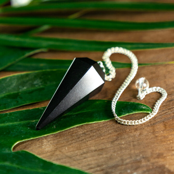 Black Agate Grounded Protection Pendulum