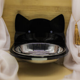 Magical Black Cat Feeding Bowl