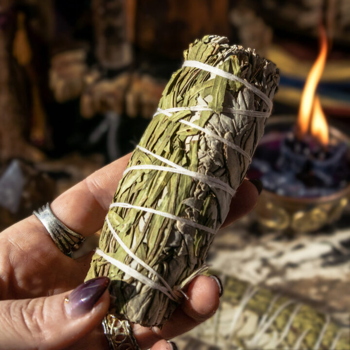 Pirul and White Sage Healing Smudge Bundle