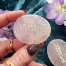 Ascension Rose Quartz Palm Stone