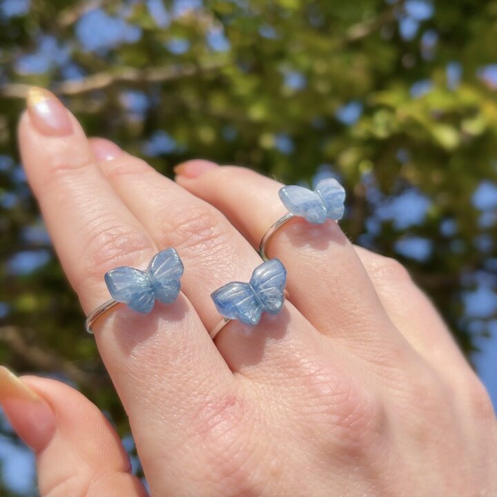 Blue Kyanite Aligned Transformation Butterfly Ring