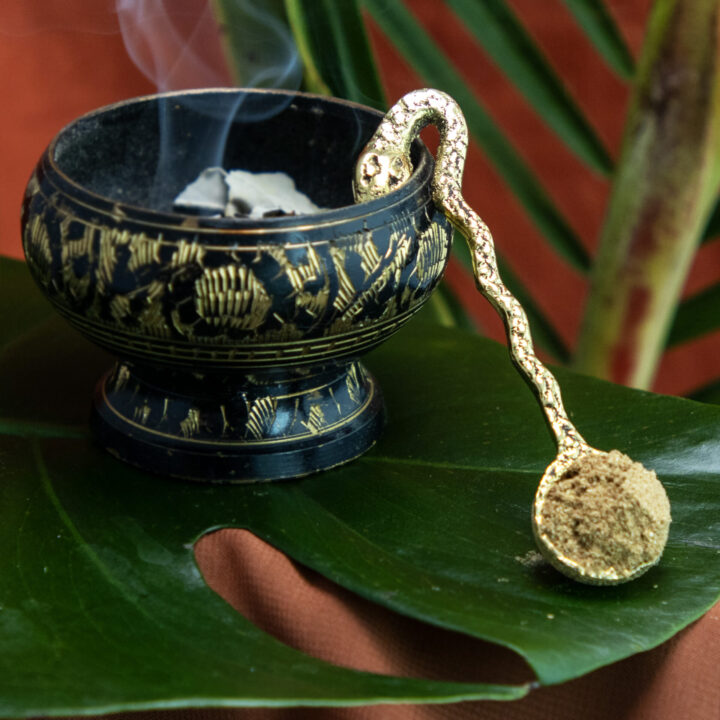 Brass Snake Ritual Incense Spoon