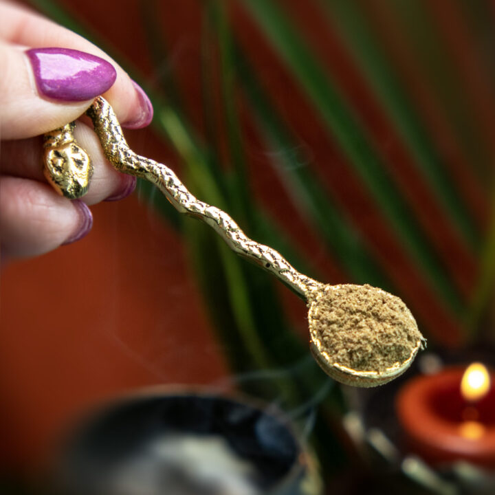 Brass Snake Ritual Incense Spoon