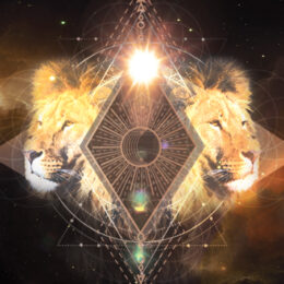 Magnetize Your Magic Lions Gate Set