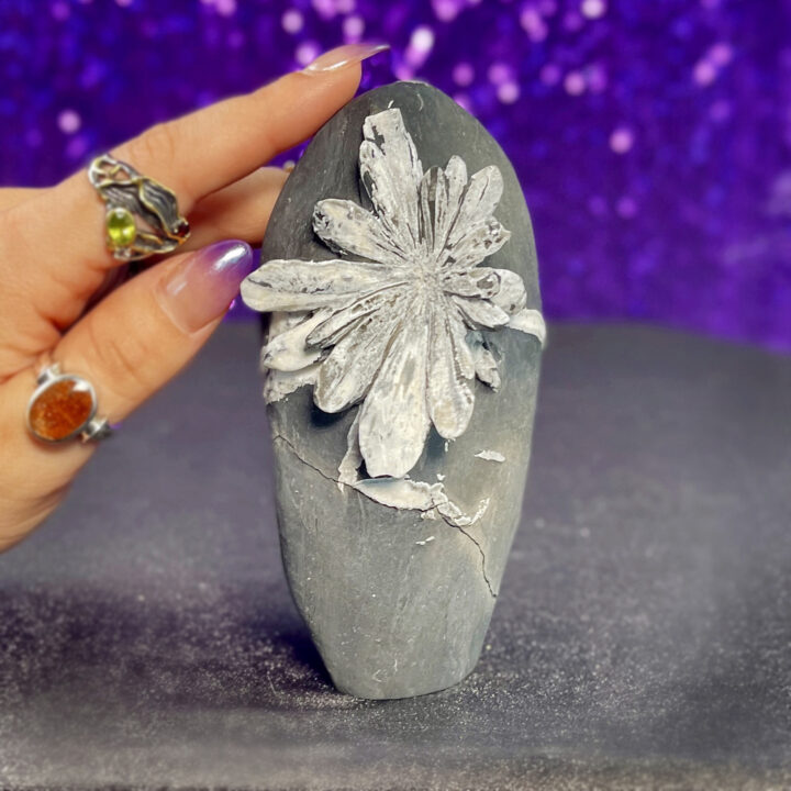 Chrysanthemum Stone Free Form