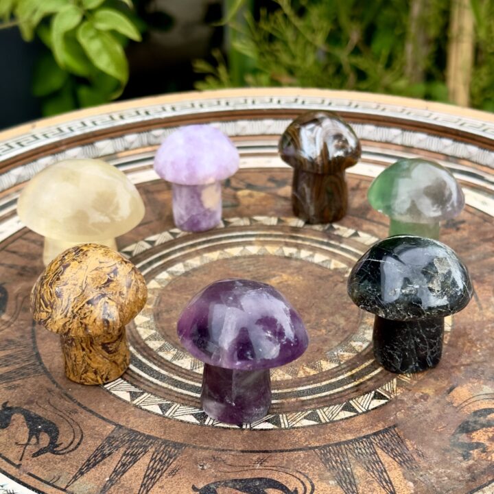 Intuitively Chosen Crystal Mushroom