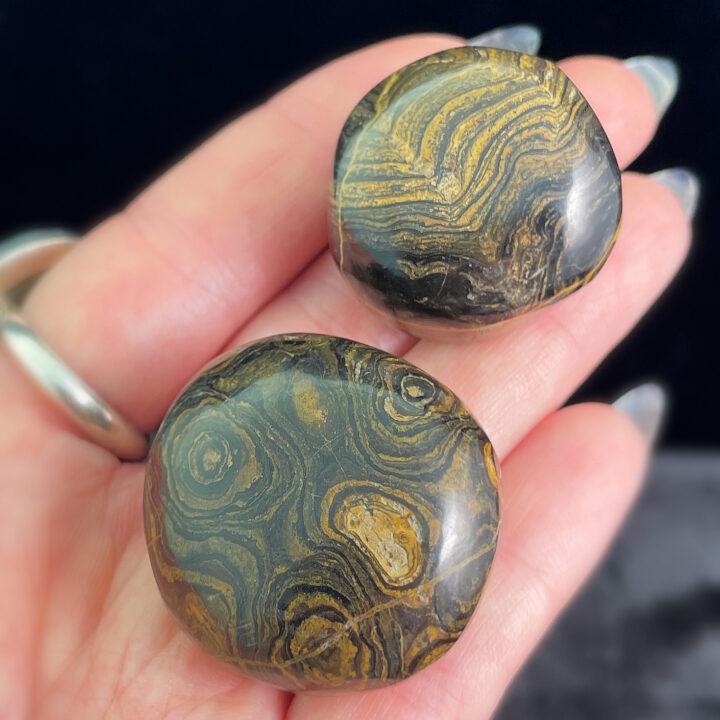 Tumbled Stromatolite