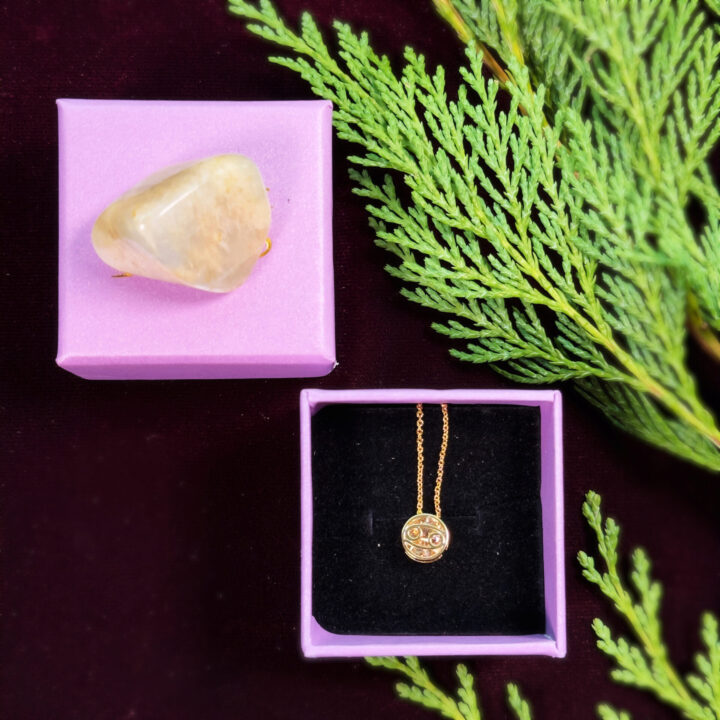Zodiac Necklace & Crystal Duo Gift Set
