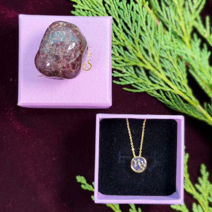 Zodiac Necklace & Crystal Duo Gift Set